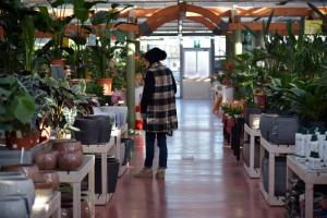 Persona recorriendo el pasillo de un centro de jardinería lleno de plantas