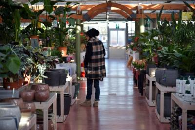 Persona recorriendo el pasillo de un centro de jardinería lleno de plantas