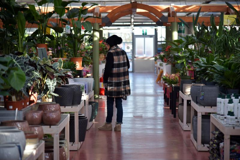 Persona recorriendo el pasillo de un centro de jardinería lleno de plantas