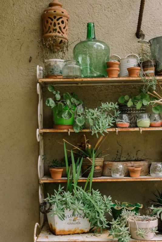 Estantería vertical con varias macetas de plantas en un patio