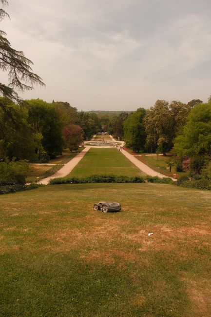 Robot cortacésped trabajando en un jardín amplio de estilo parque