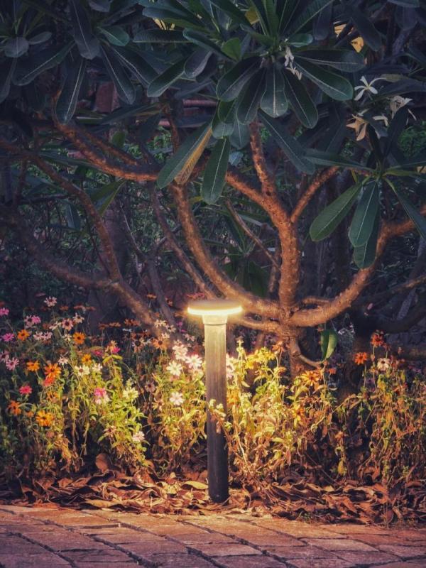 Luz de jardín encendida junto a un parterre de flores al anochecer