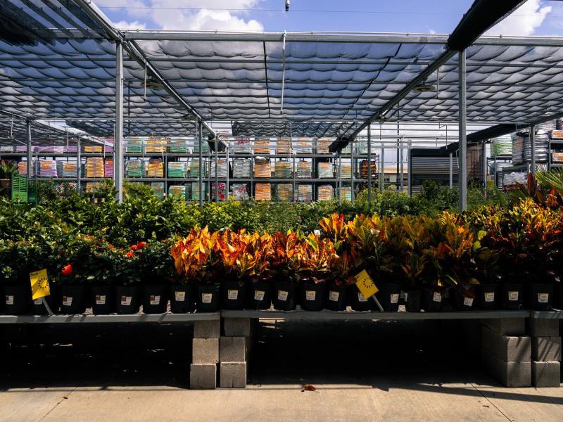 Zona exterior de un centro de jardinería con productos
