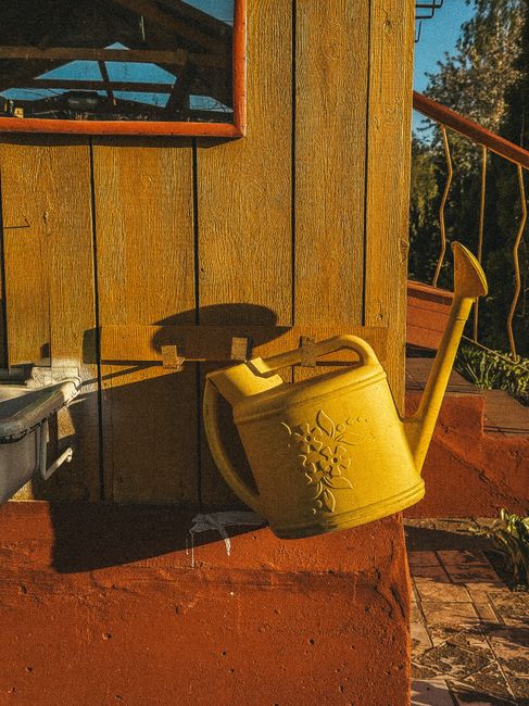 Regadera amarilla colgada junto a una pared de madera