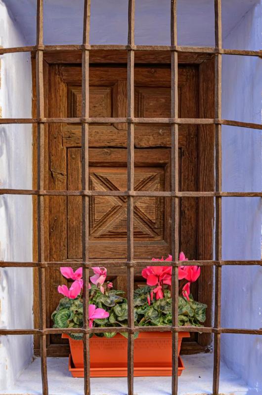 Ciclamenes rosas y rojos en una jardinera tras la reja de una ventana en Bocairente