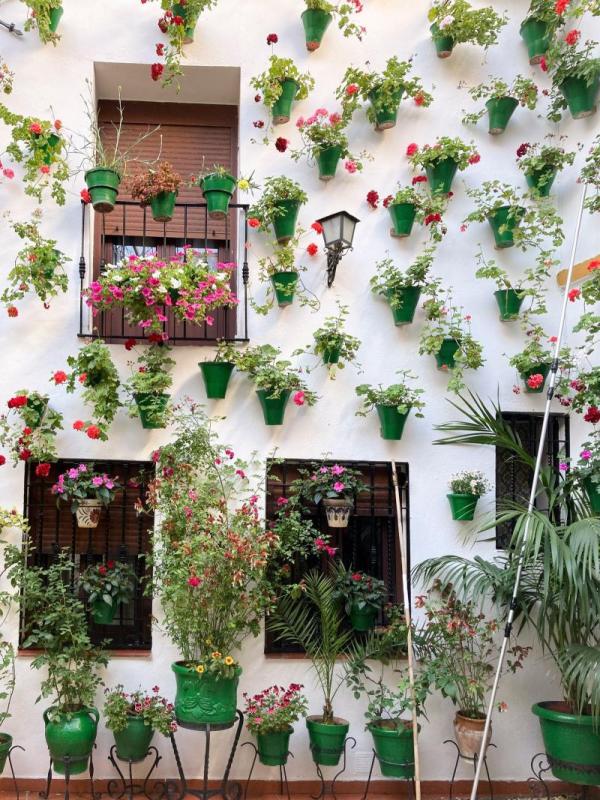 Pared encalada de Córdoba cubierta de macetas con geranios y otras flores