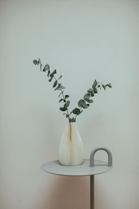 Ramas de eucalipto en un jarrón blanco sobre una mesita