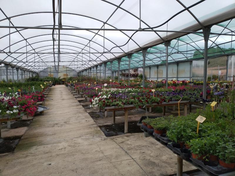 Invernadero de venta de plantas de Vernatura, en Madrid